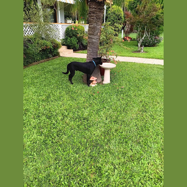 Photo of Dakota