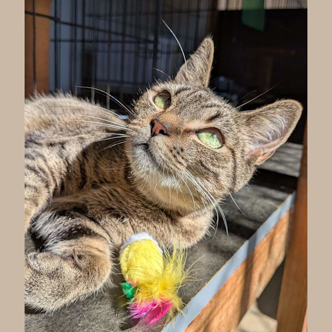 Photo of Angel