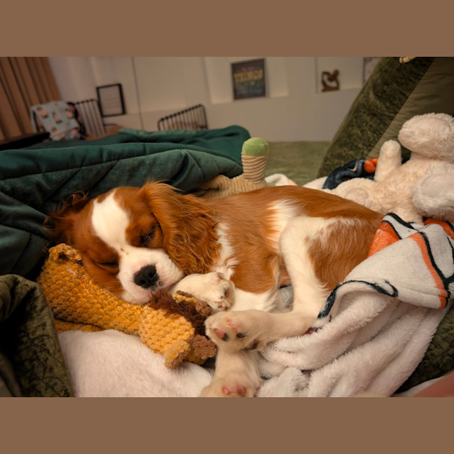 Photo of Reggie