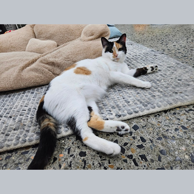 Photo of Mitzi