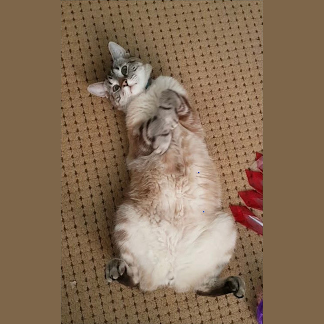 Photo of Milo And Max