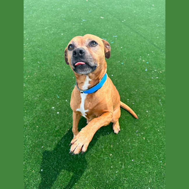 Photo of Jett Imp 2091