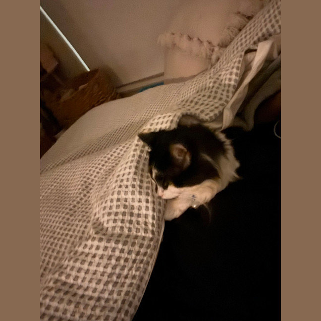 Photo of Sam Sam