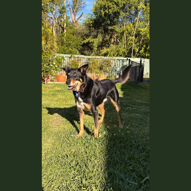 Photo of Fred