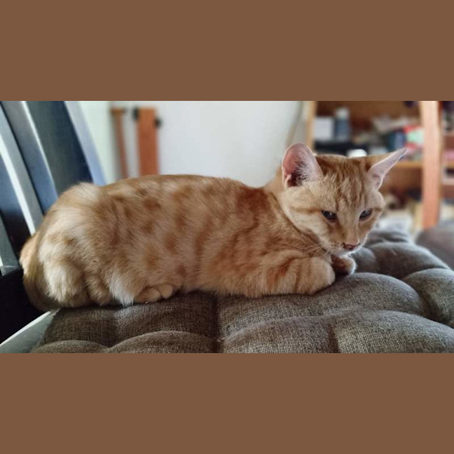Photo of Lenny