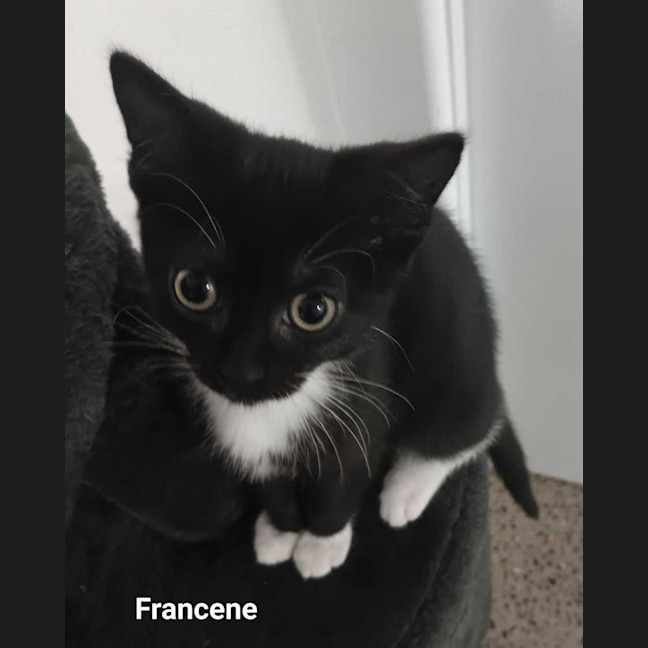 Photo of Francene