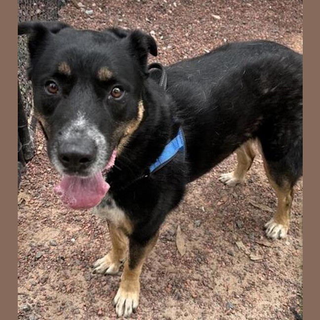 Photo of Leroy Jenkins