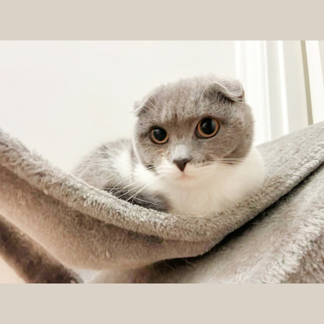 Photo of 🌜Moonshine🌛