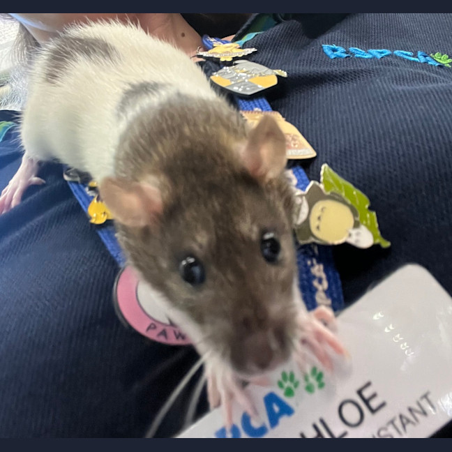 Photo of Kiki