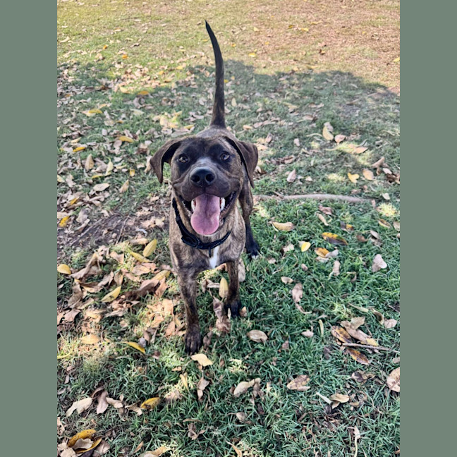 Photo of Myla