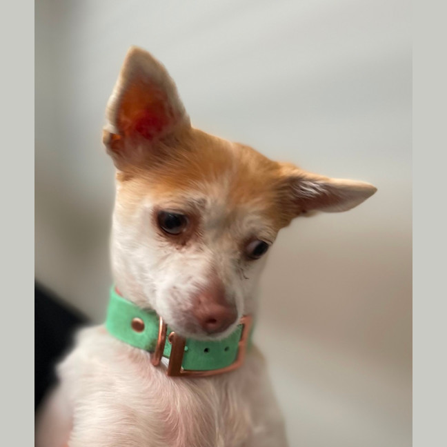 Photo of Maggie
