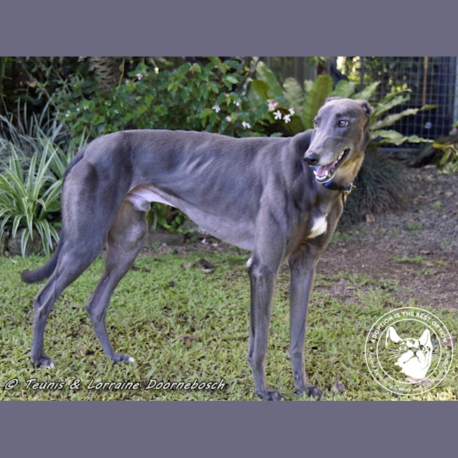 Photo of Froggy (Poppy Ed)