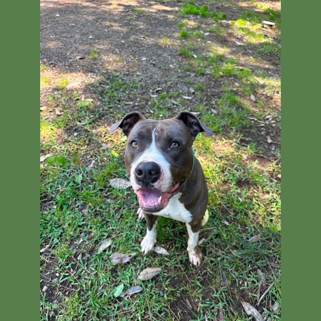 Photo of Zeus