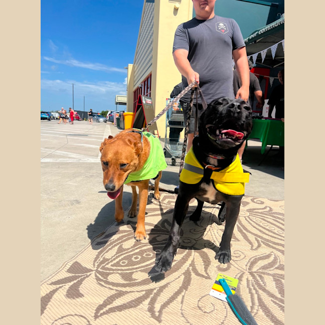 Photo of Huckleberry 