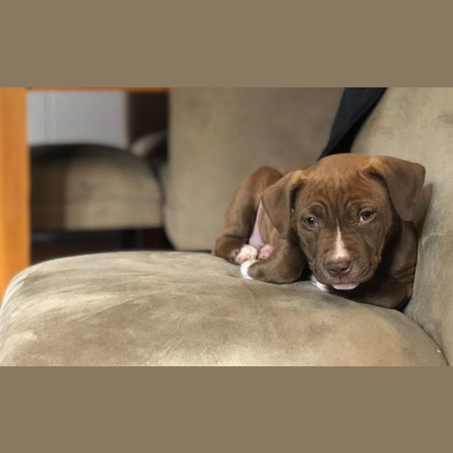 Photo of Molly