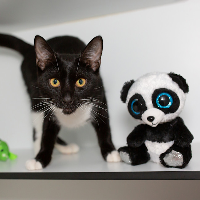 Photo of Dottie