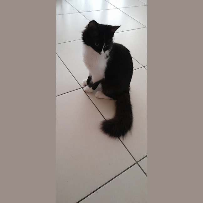 Photo of Winnie 