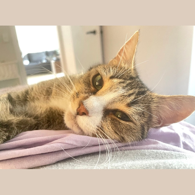 Photo of Kaiya