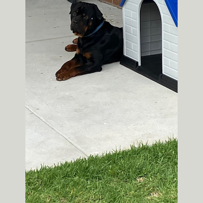 Photo of Zeus