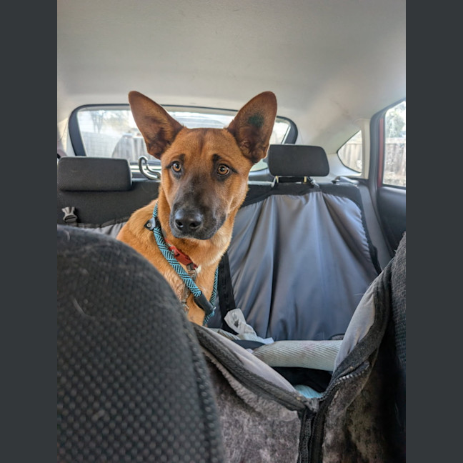 Photo of Huey