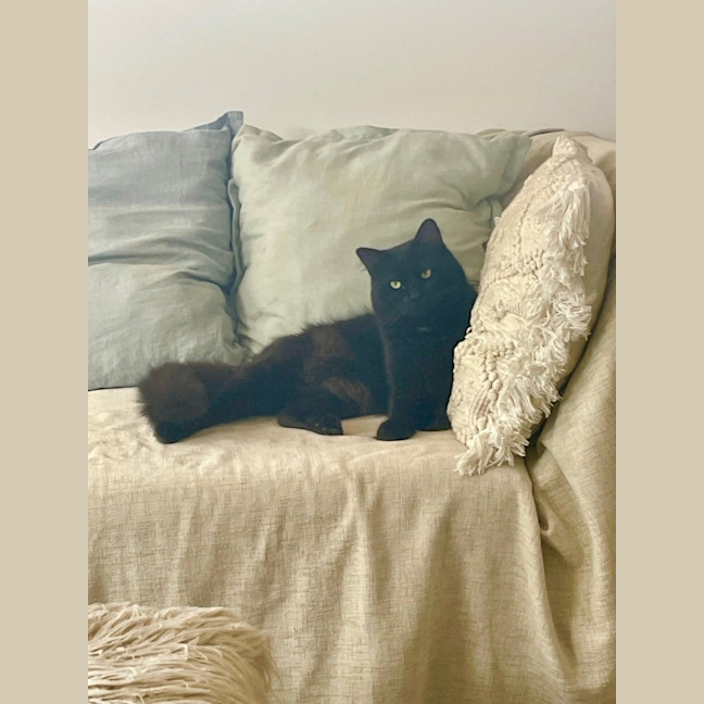 Photo of Douglas (9193)