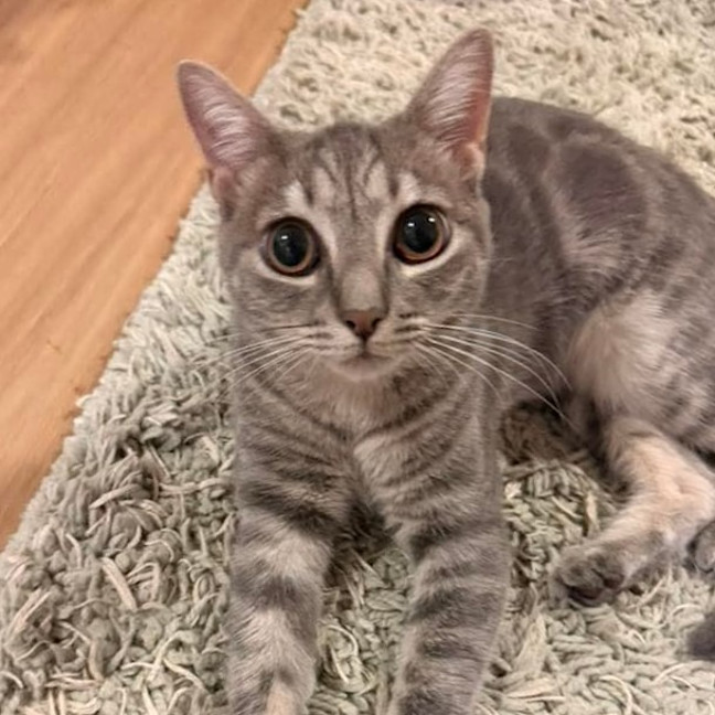 Photo of Hazel