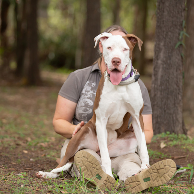 Photo of Sage