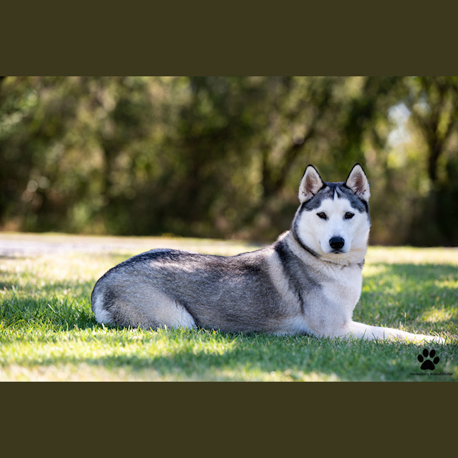Photo of Crystal