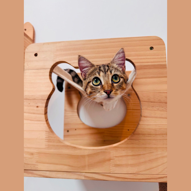 Photo of Buttercup