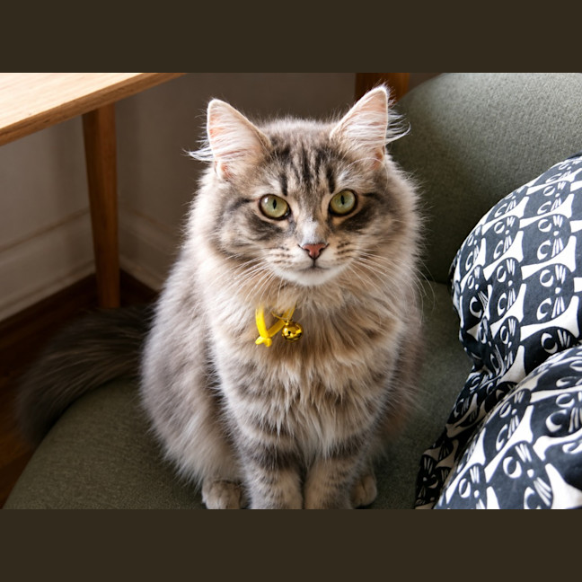 Photo of Matilda