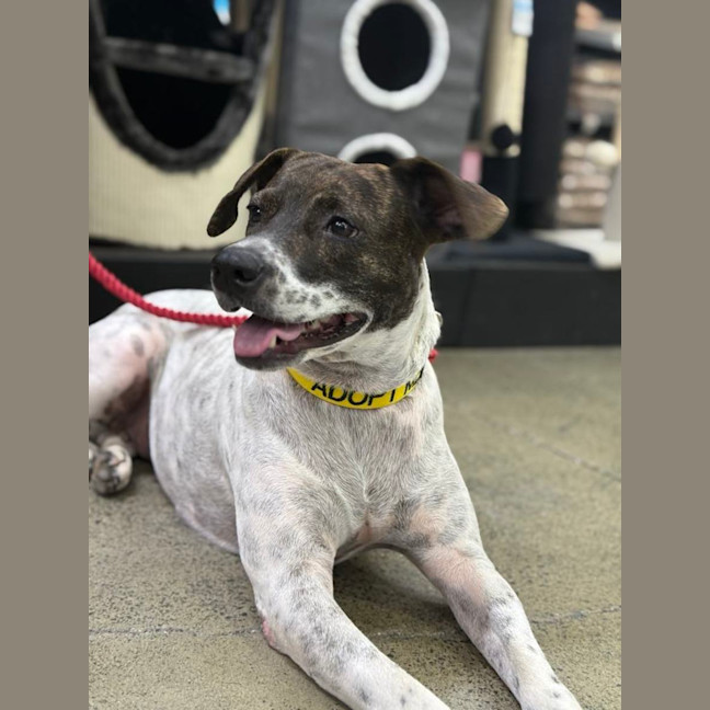 Photo of Billie Jean