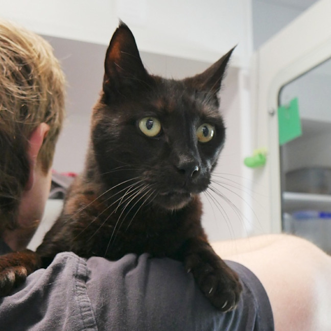 Photo of Biggy Sua013248