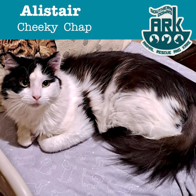 Photo of Alistair