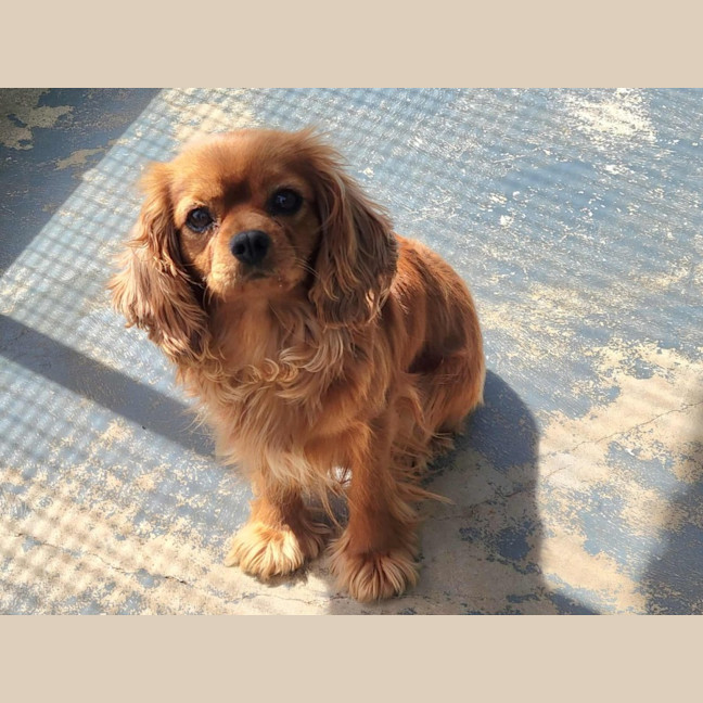 Photo of Molly & Milly