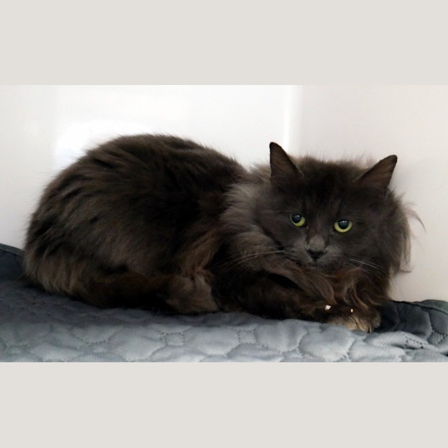 Photo of Annabelle Sta012889