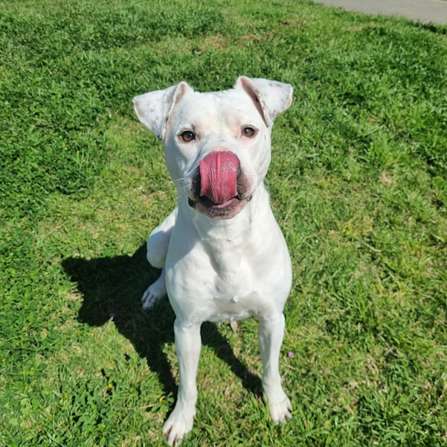 Photo of Lucy Goosey 
