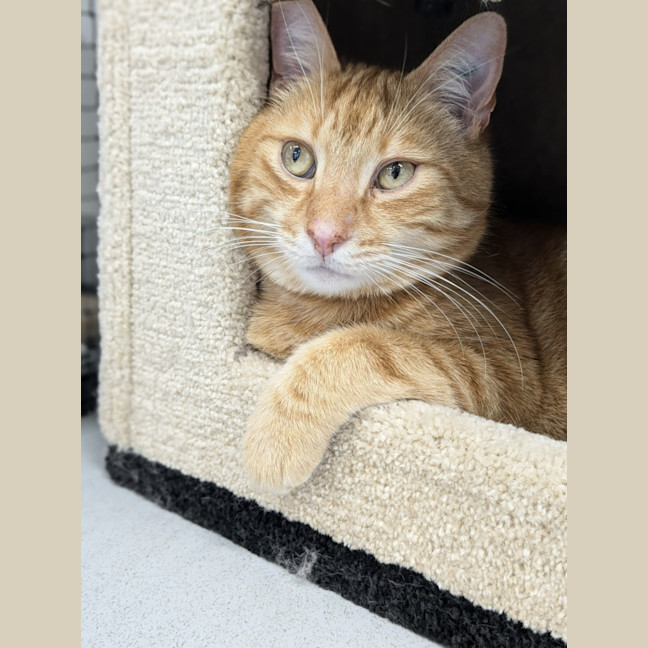 Photo of 🥝 Freddie 5515 🥝