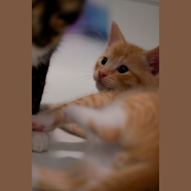 Photo of 🧡 Cinnabon 🤍