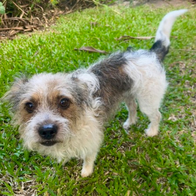 Photo of Fergus 