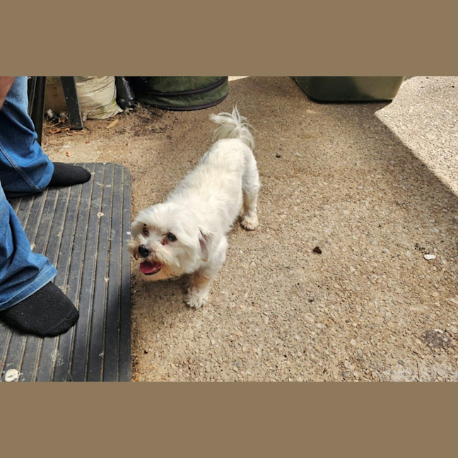 Photo of Doudou Bulleau