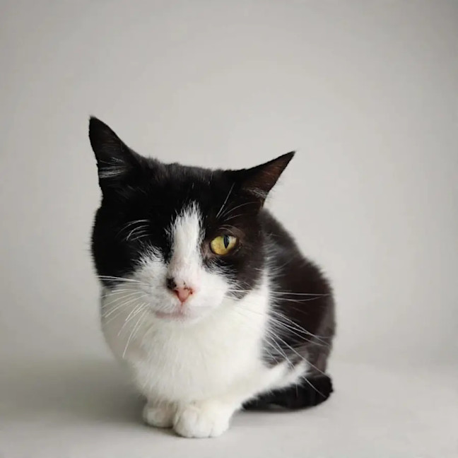 Photo of Lucky