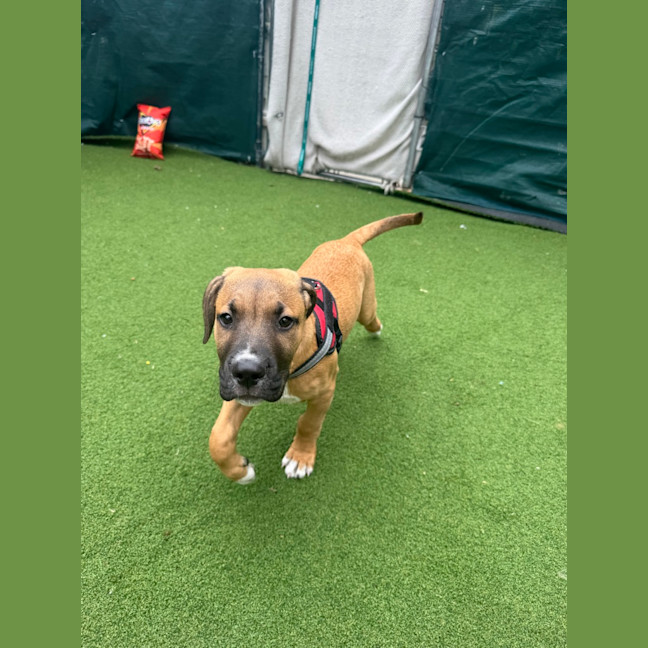 Photo of Reggie