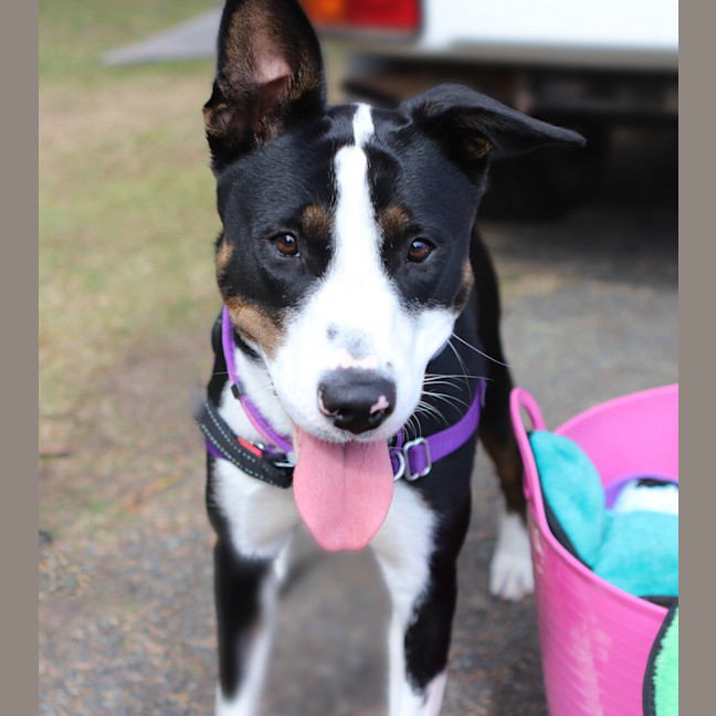 Photo of Mia