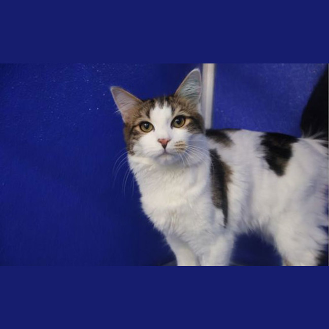 Photo of Murphy