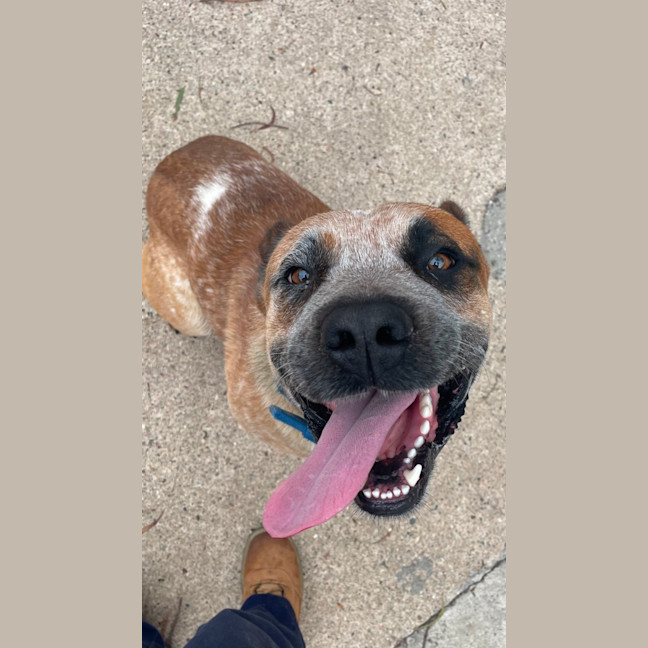 Photo of Max