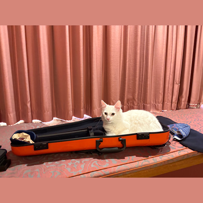 Photo of Bingus