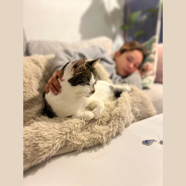 Photo of Bunny