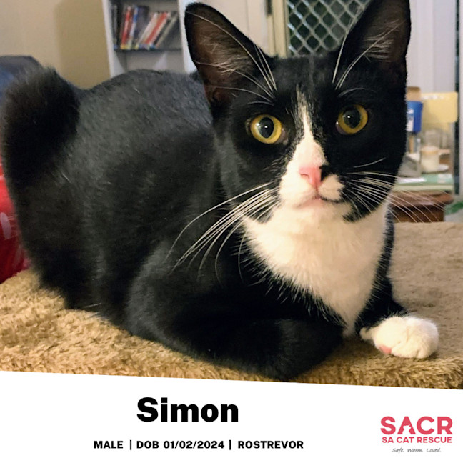 Photo of Simon