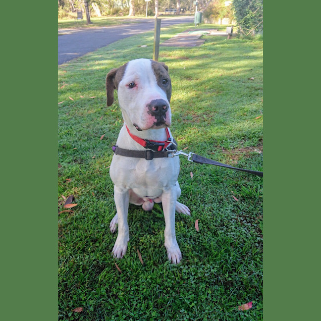 Photo of Max