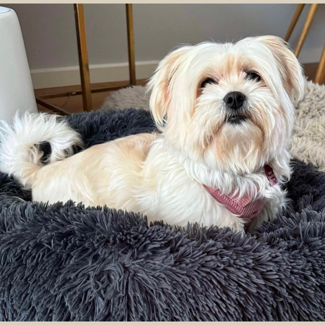 Photo of Sophie